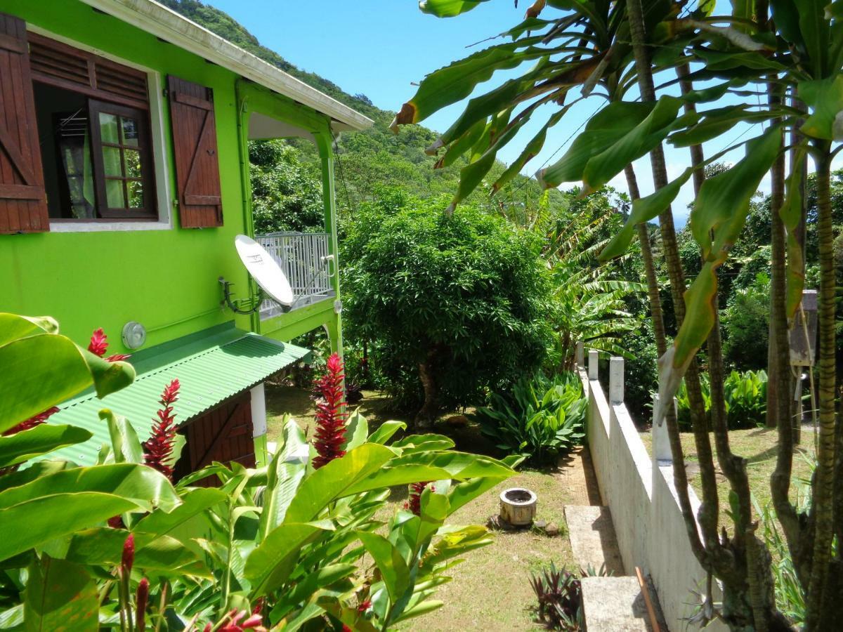 Ferienwohnung Jardin Bananier Deshaies Exterior foto